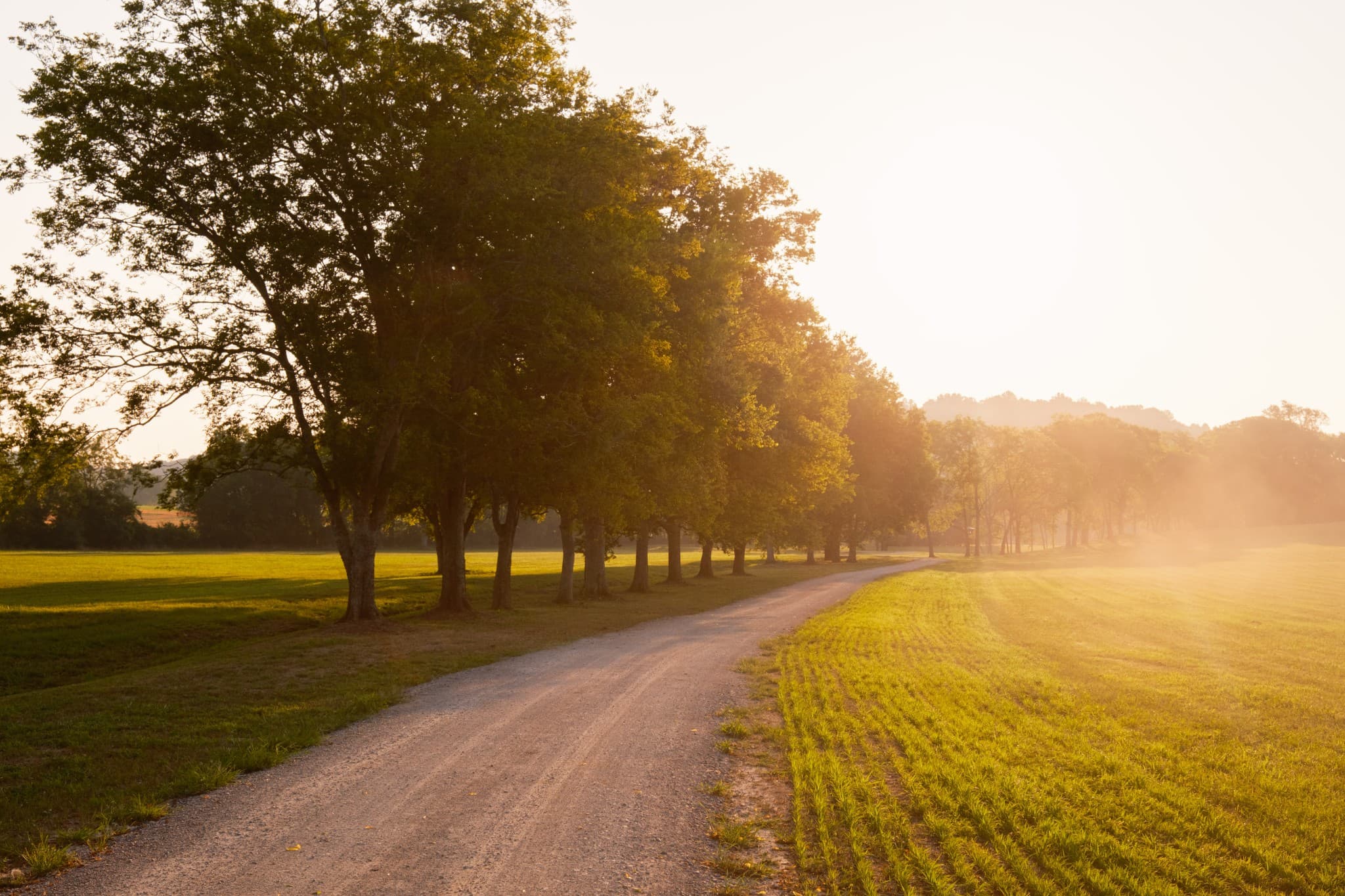 Country road at golden hour